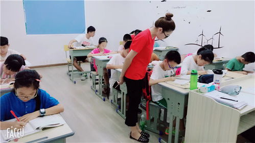 金華八年級語文1對多培訓 起點教育助力文化素養(yǎng)提升與交流
